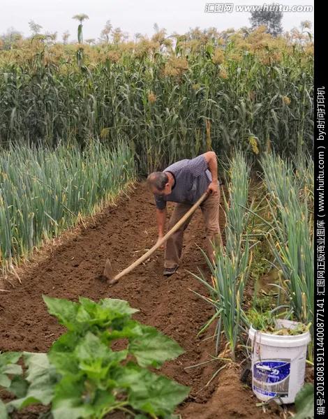 农民以种地为主,土生土长的农村人,对土地是有深厚感情的,就算农民手