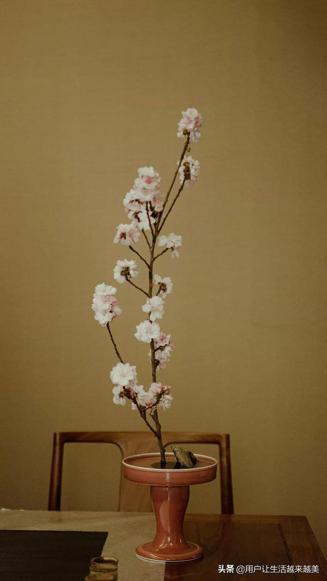 阴气重的女人命好吗,命好的女人，身上都有什么样的习惯？