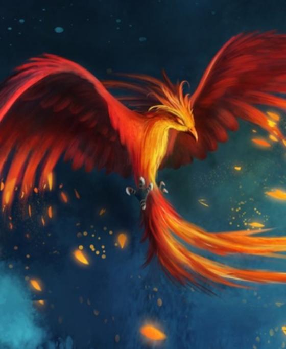 世界上最后一只凤凰长什么样子，传说中的“凤凰”是“孔雀”吗是真的存在还是古书里的杜撰