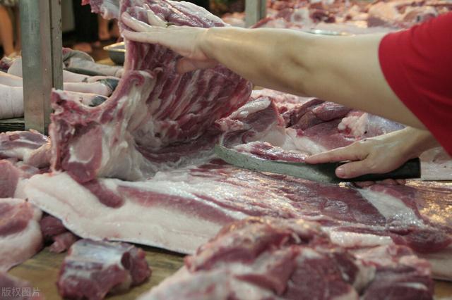 清道夫价格多少钱一斤:近日猪肉价格出现暴涨是怎么回事？