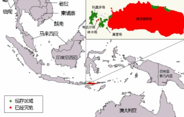 科摩多龙有没有毒:为什么不用科莫多巨蜥的毒液作为溶栓剂？
