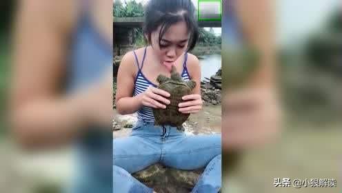 旱獭子什么样:“上岸甲鱼莫伸手，下坡野鸡不能追”，为什么这样说？有道理吗？