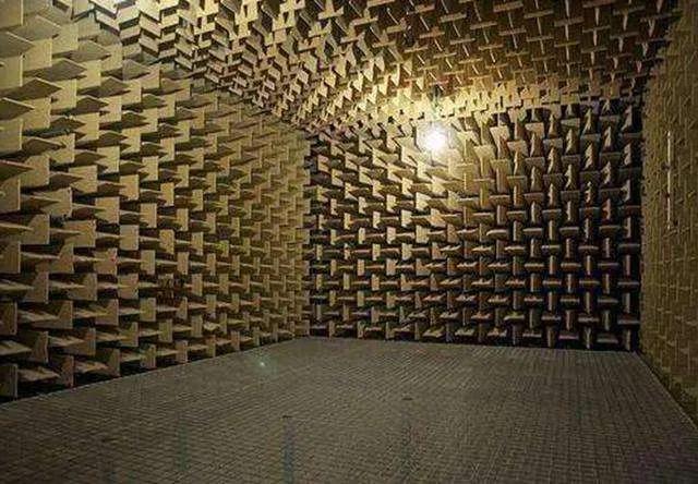 为什么有人说很少有人能在绝对静音无声的密室里撑过1小时？插图