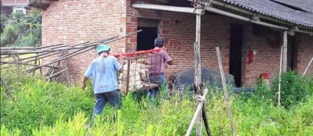 圣伯纳论坛吧:手里有二十万左右，适合做什么样的创业项目？