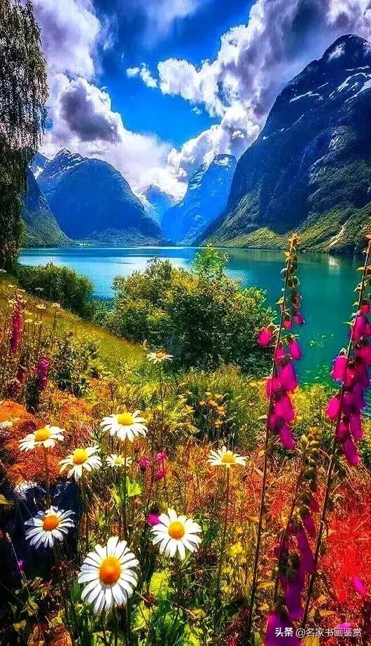 你见过最美的风景壁纸是哪种