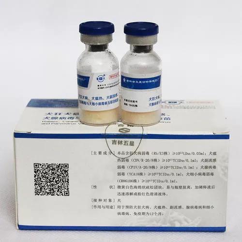 狂犬病致死率近100%，城乡养狗普遍，流浪狗泛滥，该怎么办？插图3