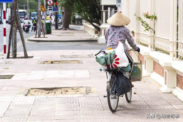 大家听过或经历过最感人的动物报恩的故事是什么？插图29