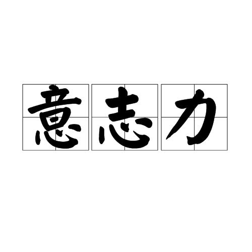 吸猫为什么有快感视频:为什么一些人爱看吃播视频？