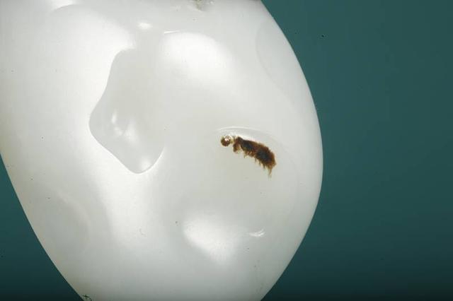 晒晒你的文玩宝贝。都是怎么保养的？插图35