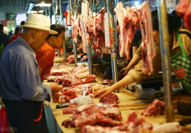 清道夫价格多少钱一斤:下半年猪肉价格即将涨到一斤20块钱以上吗？