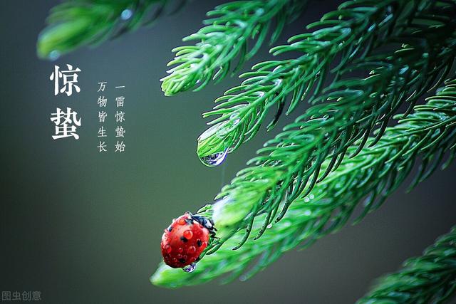 “惊蛰闻雷米似泥,春分有雨病人稀”,农谚预测年景,啥说法？