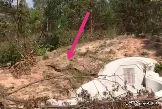 罗威纳犬复仇电影高清:八国联军攻陷北京后，哪个国家军队最坏？