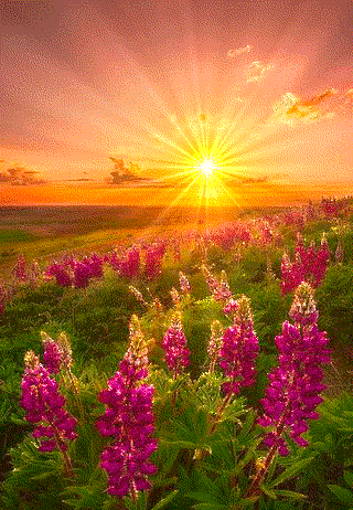 其他网友回答:每天早上看到亲朋好友的问候,总能感觉到心里暖暖的!