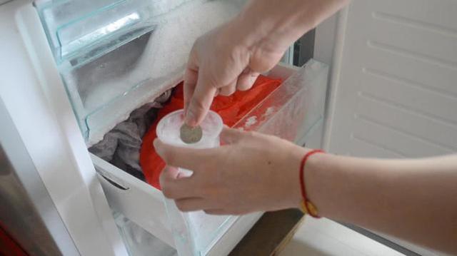 出远门时，为什么要给冰箱里放一枚硬币？插图64