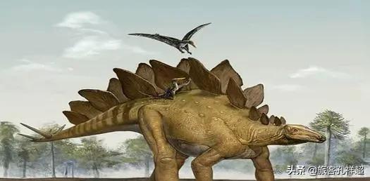 证明龙存在的证据，你相信世上还有恐龙存在吗