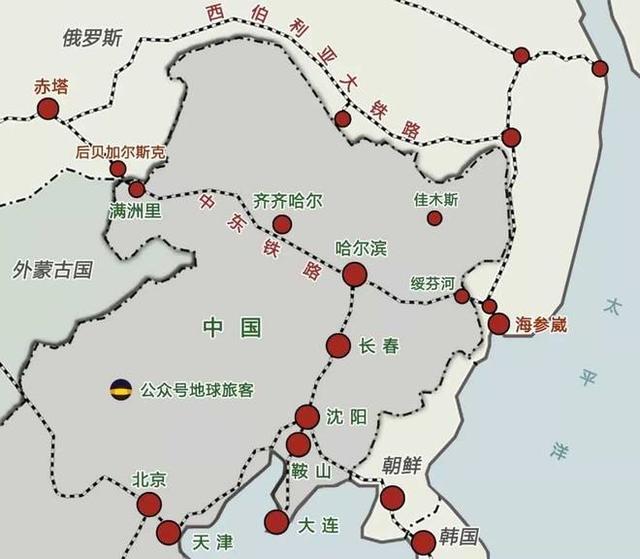 东北虎的资料卡片:为何中国东北虎会变得这么少？