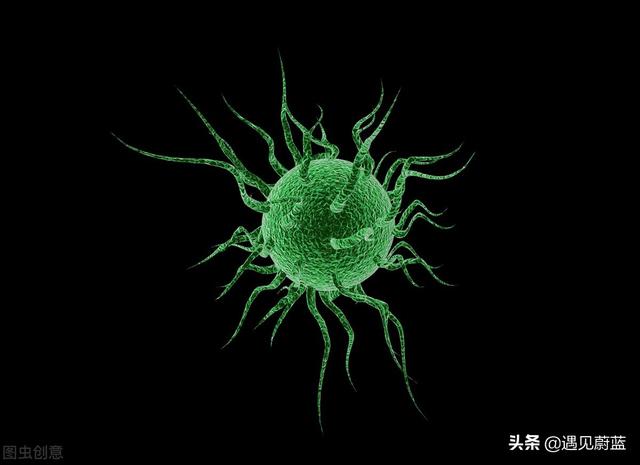新冠再次变异，比德尔塔更危险的拉姆达已出现，人类该如何对抗