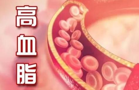 主持人秋林:秋林在哈尔滨是怎样的存在？