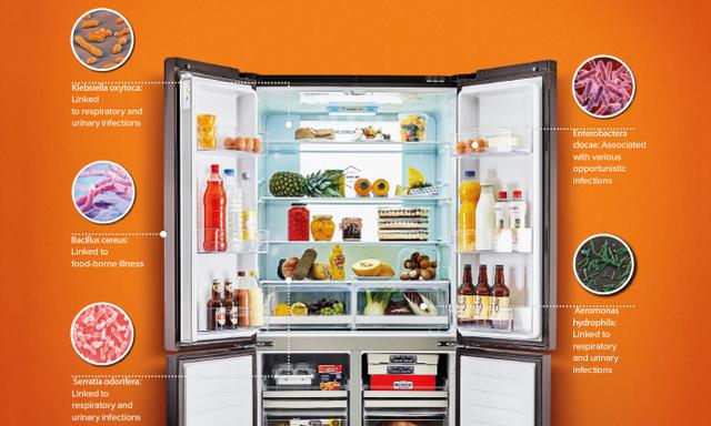 出远门时，为什么要给冰箱里放一枚硬币？插图67