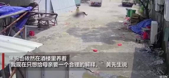重庆藏獒伤人:如何看待福建漳州七旬老人被恶犬撕咬至死，狗主仅愿赔10万？