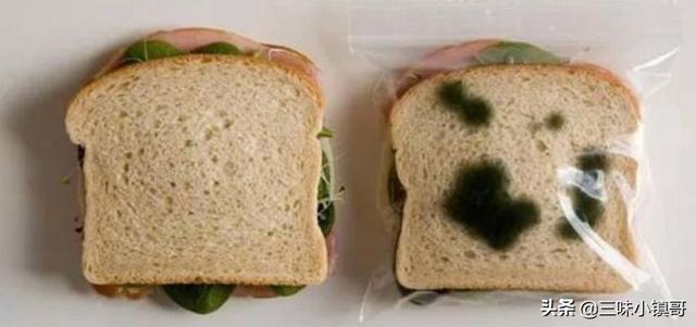 出远门时，为什么要给冰箱里放一枚硬币？插图56