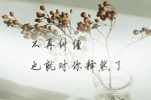 什么叫释怀？