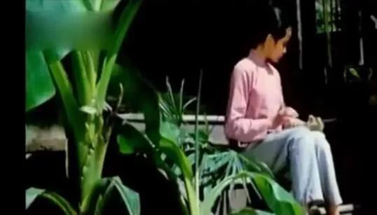 冉志娟:如何评价电视剧炊事班的故事？