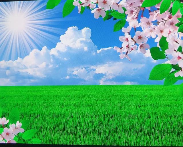 你见过的古诗词中哪一句最美？插图8