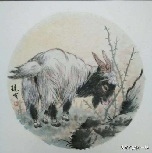 是羊大一点还是狗大一点极速:巨型泰迪多少钱一只？好养吗？