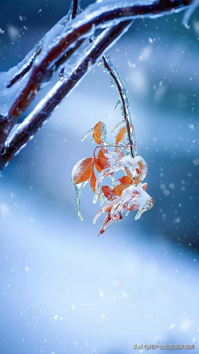 阴气重的女人命好吗,命好的女人，身上都有什么样的习惯？