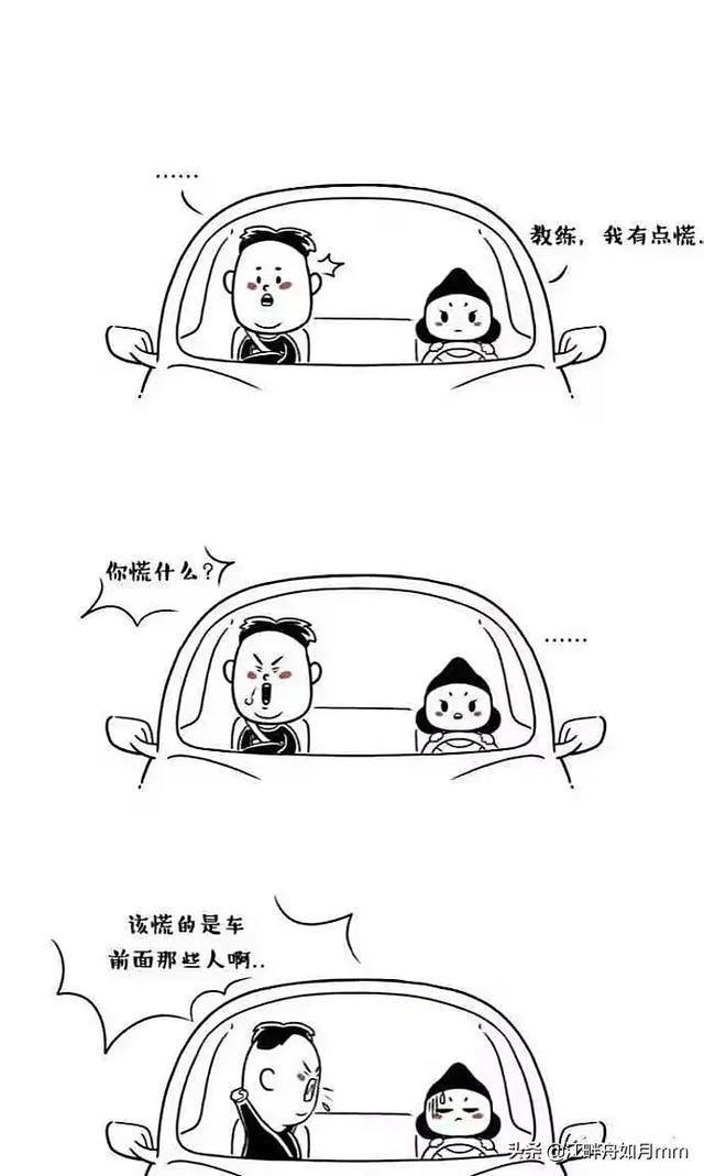 监考猫:学驾照，你给教练送礼了吗？