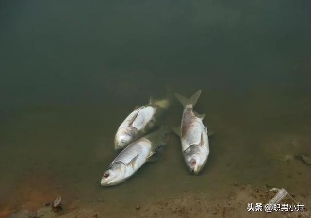 小时候听过哪些渗人可怕的故事吗？