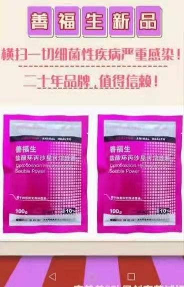 鸡大肠杆菌病临床表现:鸡的常见病有哪些？应该如何区分？