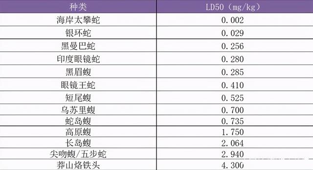 红海巨蛇:莽山烙铁头号称世界上最贵的毒蛇，究竟是为什么一条价值上百万？