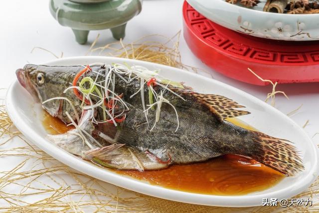 中餐厅林大厨清蒸鱼用什么鱼最好:蒸鱼的方法和正确步骤是什么？