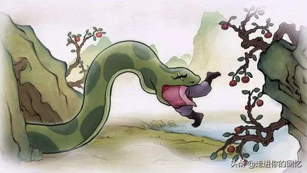 陕西蛇的种类:为什么都说秦岭最大的蛇是王锦蛇？难道秦岭没有蟒蛇吗？ 陕西分布蛇的种类