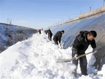 内蒙古是怎么来的，内蒙多地降雪量突破1951年以来极值，这么大雪是如何引起的