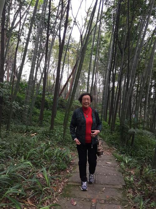 漯河到青岛<a href=https://maguai.com/list/52-0-0.html target=_blank class=infotextkey>旅游</a>团:退休老人出门<a href=https://maguai.com/list/52-0-0.html target=_blank class=infotextkey>旅游</a>的越来越多，退休金不够花还出门<a href=https://maguai.com/list/52-0-0.html target=_blank class=infotextkey>旅游</a>，为何？