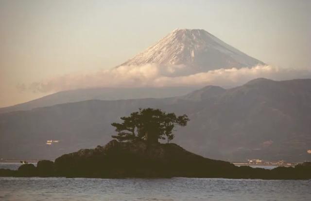 天津藏獒园疫情:目前天津的外地人可以过年回家吗？