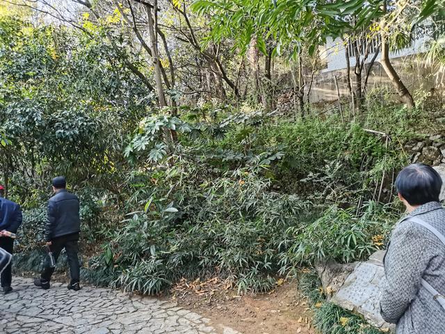 骆琦家庭背景:一个中年丧夫的女人，十年没有再找，她是怎么熬过来的