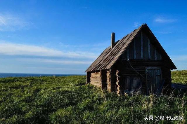 西伯利亚鼯鼠其实并不会飞:西伯利亚鼯鼠也叫大眼飞鼠吗 动物会不会出现自杀的情况？