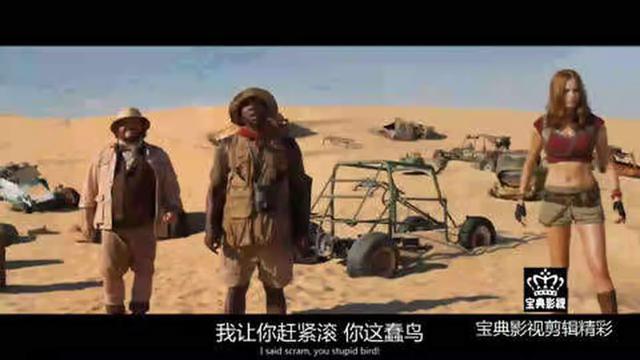 大美洲鸵:有哪些您认为不可养殖的野生动物