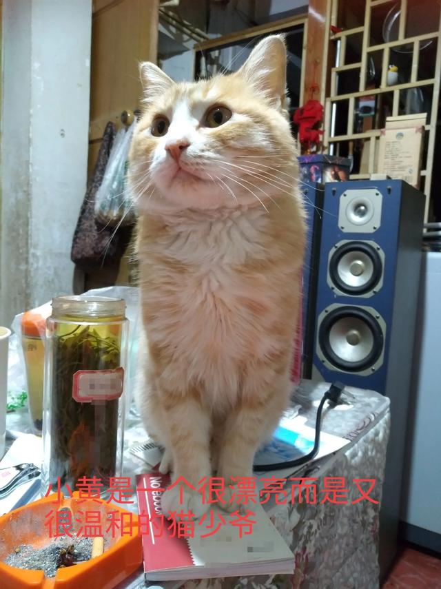 许喵喵mickey:笑到嘴巴抽筋的笑话有哪些