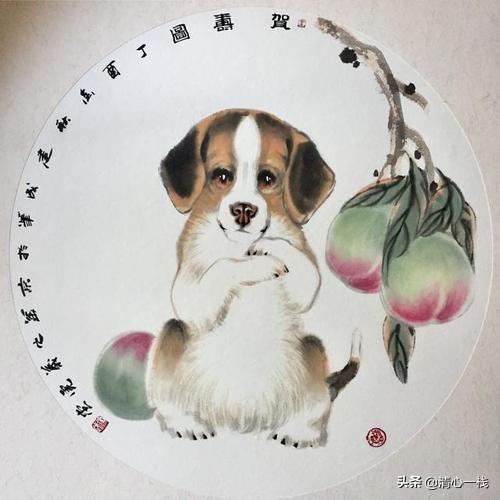 新灵犬莱西免费下载:十二生肖最不喜欢和什么人打交道？