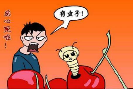 连云港海州区回应学生餐配送公司绞肉机有蛆虫：全面排查，请问蛆死了，蛆的身体会不会生蛆