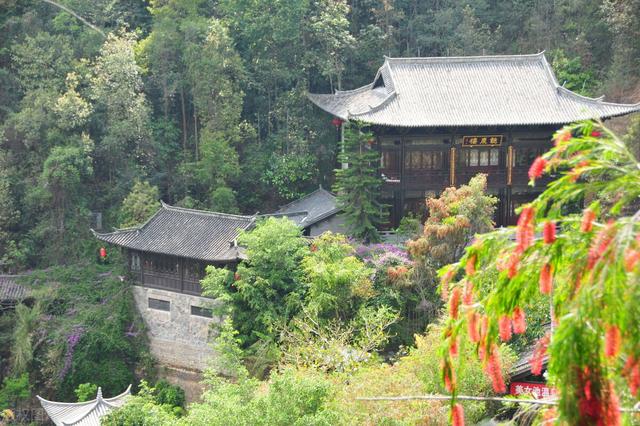 印度小竹节草漂着养:铃木汽车怎么样？故障有哪些，安全性如何？跑高速漂不漂？