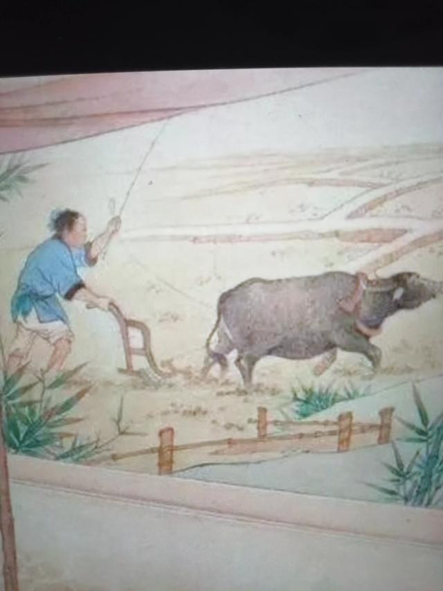 谁可以将这句“一夫不耕天下受其饥,一妇不织天下受其寒”说透彻？