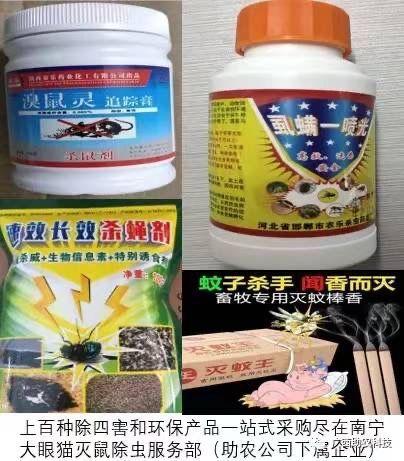 鸡身上长虱子怎么去除:鸡体外有寄生虫，怎么除？