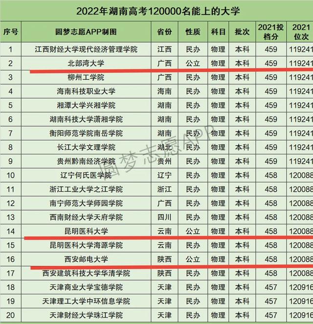 十堰名望宠物医院怎么样:猫咪癫痫发作，我该如何处理？