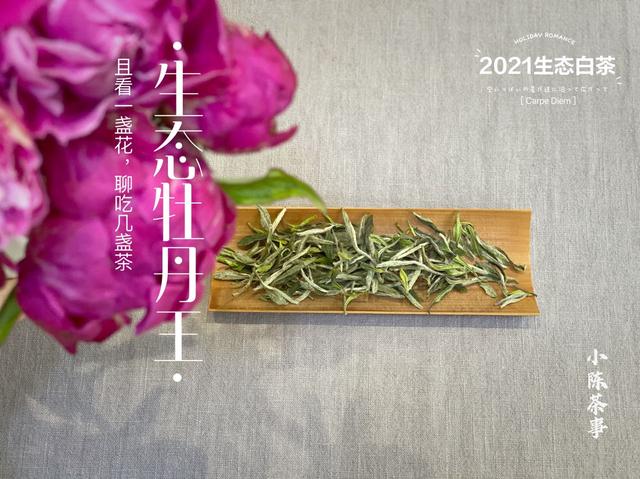 如何在网上买到真茶叶？